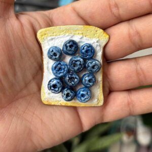 blueberry fridge magnet